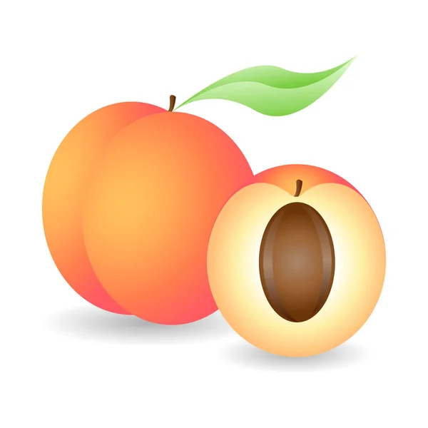 美丽成熟的桃子 完整的和一半 隔离在白色背景上 果汁或果酱品牌 向量例证 Eps10 — 图库矢量图片
