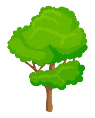 Beyaz arkaplanda izole edilmiş güzel ağaç