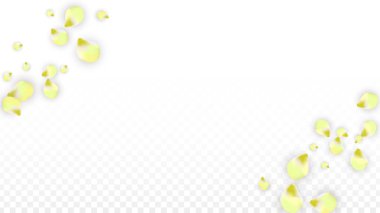 Saydam arka plan üzerine düşen vektör gerçekçi pembe yaprakları. Bahar romantik çiçek illüstrasyon. Uçan yaprakları. Sakura Spa tasarım. Çiçeği konfeti.