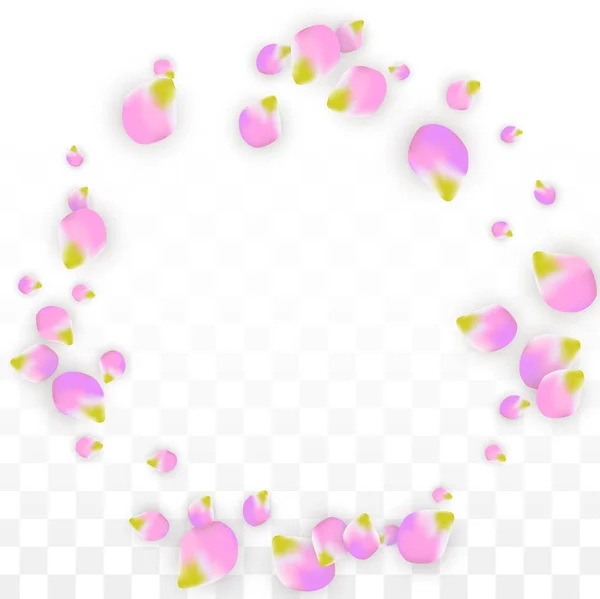 Vector realista pétalos rosados cayendo sobre fondo transparente. Ilustración de flores románticas de primavera. Pétalos voladores. Sakura Spa Design. Confetti de flor . — Archivo Imágenes Vectoriales