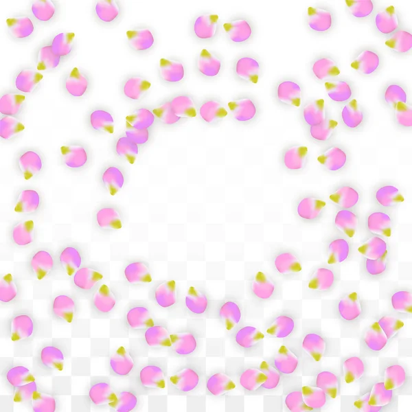 Vector realistische roze bloemblaadjes vallen op transparante achtergrond. Lente romantische bloemen illustratie. Vliegende bloemblaadjes. Sakura Spa Design. Bloesem Confetti. — Stockvector