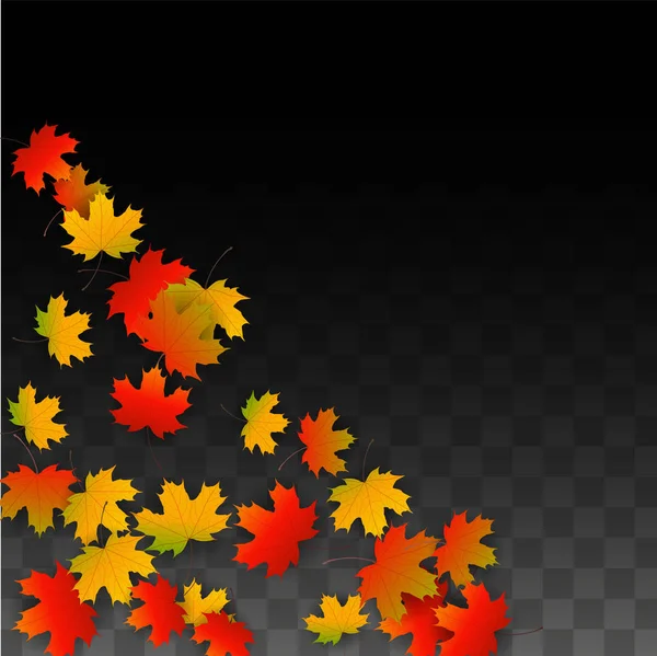 September Vector achtergrond met gouden vallende blaadjes. Herfst illustratie met Maple rood, oranje, geel loof. Geïsoleerde Leaf op transparante achtergrond. Heldere Swirl. Geschikt voor Posters. — Stockvector