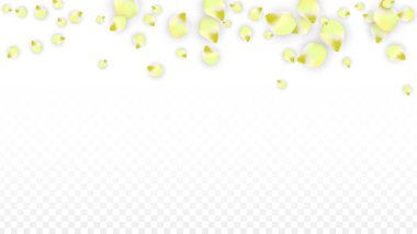 Saydam arka plan üzerine düşen vektör gerçekçi pembe yaprakları. Bahar romantik çiçek illüstrasyon. Uçan yaprakları. Sakura Spa tasarım. Çiçeği konfeti. Düğün dekorasyon için tasarım öğeleri.