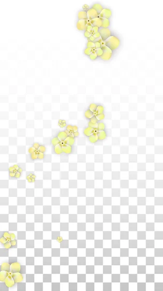 Vector Realistic Yellow Flowers Falling on Transparent Background.  Spring Romantic Flowers Illustration. Flying Petals. Sakura Spa Design. Blossom Confetti. Design Elements for Wedding Decoration. — Stock Vector