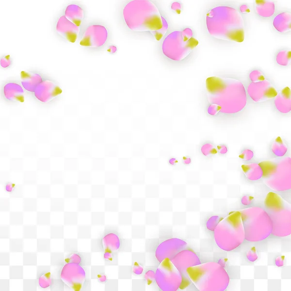 Vektor realistické růžové lístky, které spadají na průhledném pozadí. Jarní romantické květy ilustrace. Létající okvětní lístky. Sakura Spa Design. Konfety květy. — Stockový vektor