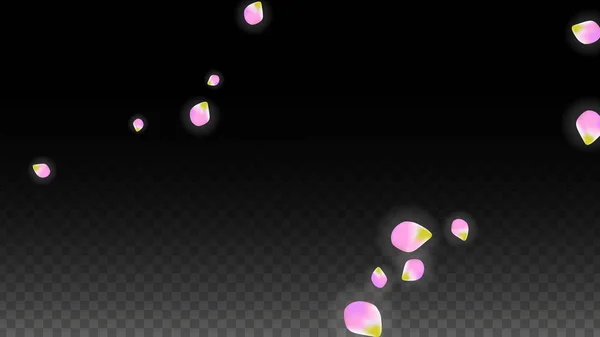 Vector Realistic Pink Petals Falling on Transparent Background.  Spring Romantic Flowers Illustration. Flying Petals. Sakura Spa Design. Blossom Confetti. — Stock Vector