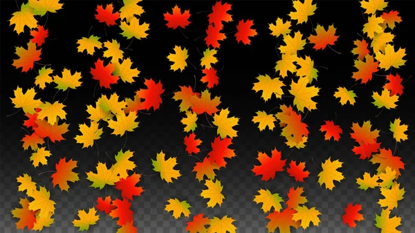 September vektor bakgrund med gyllene fallande löv. Hösten Illustration med Maple röd, Orange, gult bladverk. Isolerade blad på Transparent bakgrund. Ljusa virvel. Lämplig för affischer. — Stock vektor
