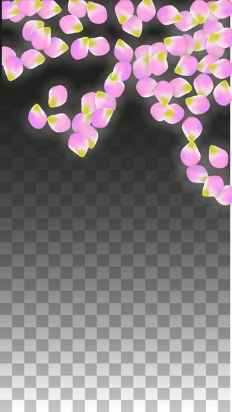 Vector realista pétalos rosados cayendo sobre fondo transparente. Ilustración de flores románticas de primavera. Pétalos voladores. Sakura Spa Design. Confetti de flor . — Archivo Imágenes Vectoriales