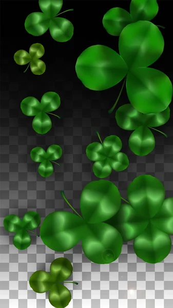 Vector Clover Leaf  Isolated on Transparent Background with Space for Text. St. Patrick's Day Illustration. Ireland's Lucky Shamrock Poster. Invintation for Concert in Pub. Top View. Success Symbols. — Stock Vector