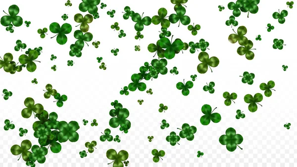 Vector Clover Leaf Isolé sur fond transparent avec espace pour le texte. Illustration de la Saint-Patrick. L'affiche de Lucky Shamrock en Irlande. Invintation for Concert in Pub. Vue du dessus. Symboles de réussite. — Image vectorielle