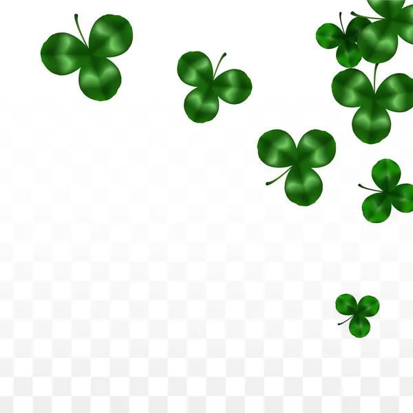 Vector Clover Leaf  Isolated on Transparent Background with Space for Text. St. Patrick's Day Illustration. Ireland's Lucky Shamrock Poster. Invintation for Concert in Pub. Top View. Success Symbols. — Stock Vector