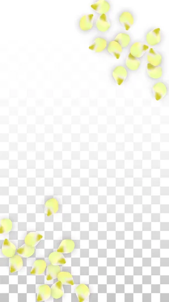Vector realistiska rosa kronblad faller på Transparent bakgrund. Vårens romantiska blommor Illustration. Flygande blomblad. Sakura Spa Design. Blossom konfetti. — Stock vektor
