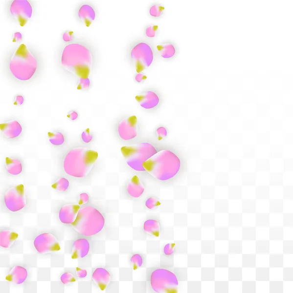 Vector realistische roze bloemblaadjes vallen op transparante achtergrond. Lente romantische bloemen illustratie. Vliegende bloemblaadjes. Sakura Spa Design. Bloesem Confetti. — Stockvector