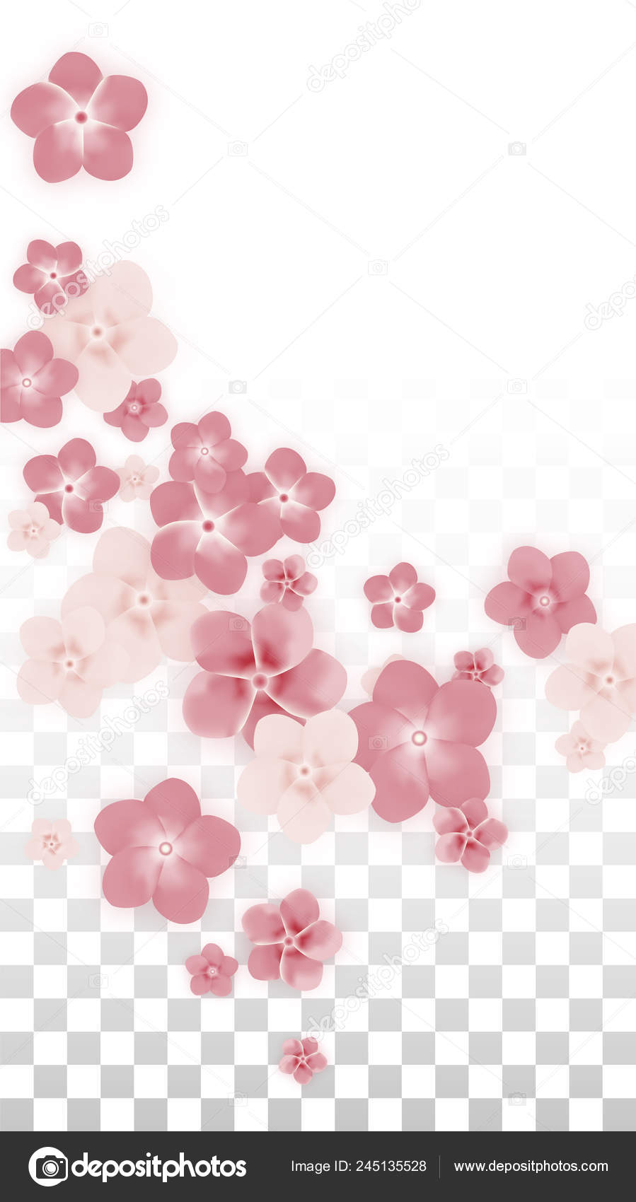 Falling pink sakura petals realistic illustration on transparent