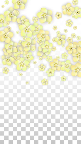 Vector realistische gele bloemen vallen op transparante achtergrond. Lente romantische bloemen illustratie. Vliegende bloemblaadjes. Sakura Spa Design. Bloesem Confetti. Ontwerpelementen voor bruiloft decoratie. — Stockvector