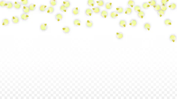 Vektor realistische rosa Blütenblätter fallen auf transparentem Hintergrund. Frühling romantische Blumen Illustration. Fliegende Blütenblätter. Sakura Wellness Design. Blütenkonfetti. — Stockvektor