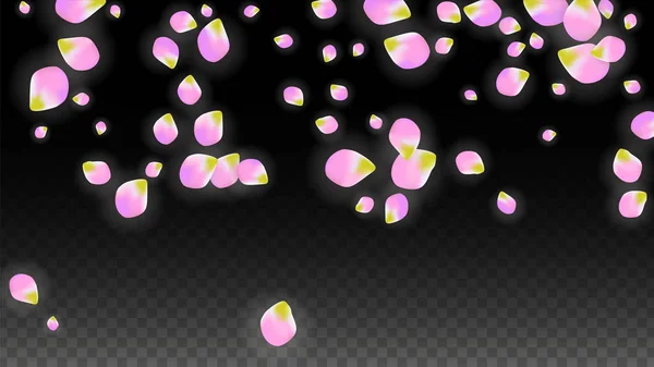 Vector realistiska rosa kronblad faller på Transparent bakgrund. Vårens romantiska blommor Illustration. Flygande blomblad. Sakura Spa Design. Blossom konfetti. — Stock vektor