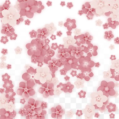 Saydam arka plan üzerine düşen vektör gerçekçi pembe çiçekler. Bahar romantik çiçek illüstrasyon. Uçan yaprakları. Sakura Spa tasarım. Çiçeği konfeti. Düğün dekorasyon için tasarım öğeleri.