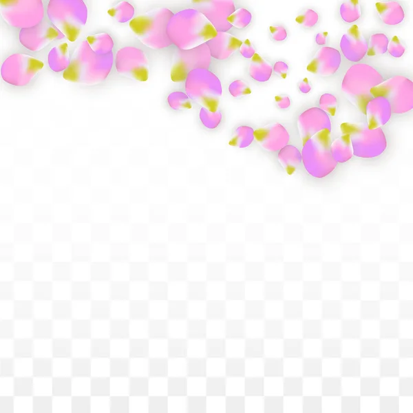 Vetor Realista Rosa Pétalas Caindo em Fundo Transparente. Primavera flores românticas Ilustração. Pétalas voadoras. Sakura Spa Design. Flor Confetti . —  Vetores de Stock