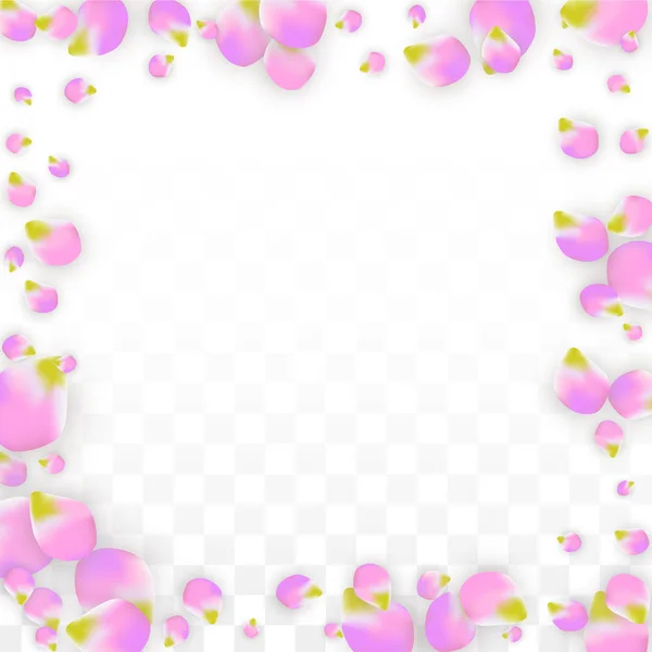Vector realista pétalos rosados cayendo sobre fondo transparente. Ilustración de flores románticas de primavera. Pétalos voladores. Sakura Spa Design. Confetti de flor . — Vector de stock