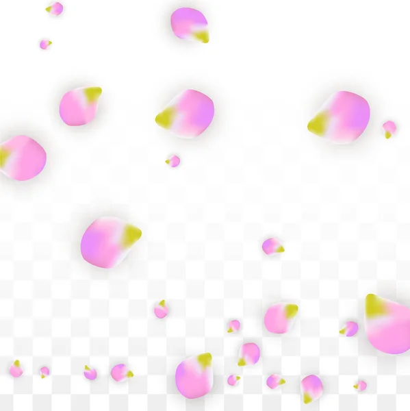ベクトル現実的なピンク花びら透明な背景の上に落ちています。春のロマンチックな花のイラスト。花びらを飛んでいます。さくらのスパのデザイン。桜の紙吹雪. — ストックベクタ