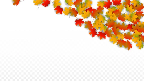 September Vektor Hintergrund mit goldenen fallenden Blättern. Herbstillustration mit Ahornrot, Orange, Gelb. isoliertes Blatt auf transparentem Hintergrund. Heller Wirbel. geeignet für Poster. — Stockvektor