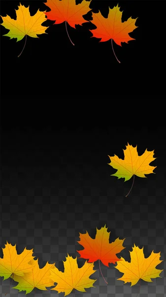 Septembre Fond vectoriel avec feuilles tombantes dorées. Illustration automnale avec feuille rouge érable, orange, jaune. Feuille isolée sur fond transparent. Tourbillon lumineux. Convient pour Affiches . — Image vectorielle