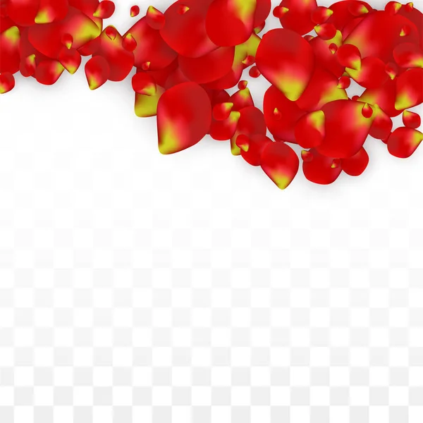 Vector Realistic Red Rose Petals Falling on Transparent Background.  Romantic Flowers Illustration. Flying Petals. Sakura Spa Design. Blossom Confetti. Design Elements for Wedding Decoration. — Stock Vector