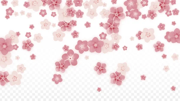 Vetor realista flores cor-de-rosa caindo em fundo transparente. Primavera flores românticas Ilustração. Pétalas voadoras. Sakura Spa Design. Blossom Confetti. Elementos de design para decoração de casamento . —  Vetores de Stock