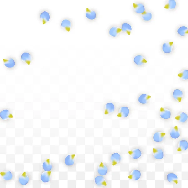 Vector realistische blauwe bloemblaadjes vallen op transparante achtergrond. Lente romantische bloemen illustratie. Vliegende bloemblaadjes. Sakura Spa Design. Bloesem Confetti. — Stockvector