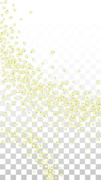 Вектор Реалістичні жовті квіти падають на прозорий фон — стоковий вектор