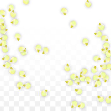 Saydam arka plan üzerine düşen vektör gerçekçi pembe yaprakları. Bahar romantik çiçek illüstrasyon. Uçan yaprakları. Sakura Spa tasarım. Çiçeği konfeti.