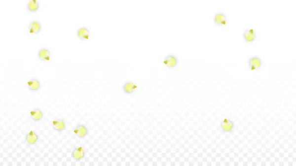 Kelopak Merah Muda Vektor Jatuh di Latar Belakang Transparan. Spring Romantic Flowers Illustration. Terbang kelopak. Desain Sakura Spa. Blossom Confetti . - Stok Vektor