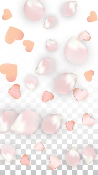 Vektor reális szirmok és szív Confetti. Repülő Sakura és szívek átlátható háttér. Esküvői meghívó háttér. Tavaszi Románc poszter. Vektorillusztráció az évforduló tervezéséhez. — Stock Vector