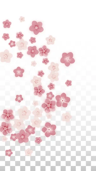 Vector realistische roze bloemen vallen op transparante achtergrond. Lente romantische bloemen illustratie. Vliegende bloemblaadjes. Sakura Spa Design. Bloesem Confetti. Ontwerpelementen voor bruiloft decoratie. — Stockvector