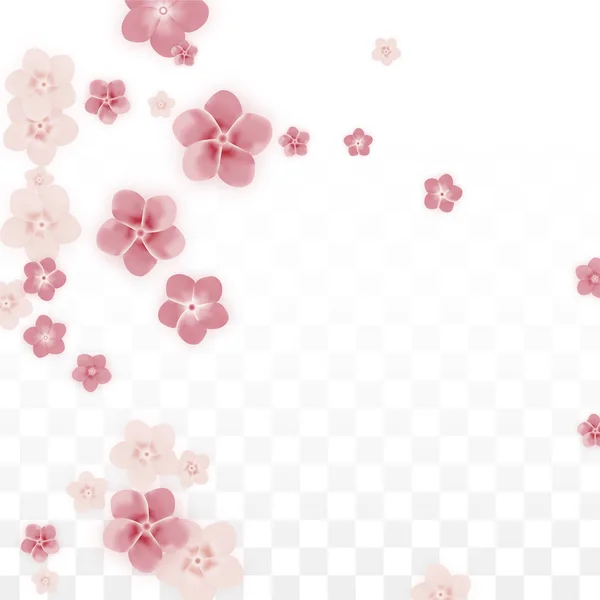 Falling pink sakura petals realistic illustration on transparent