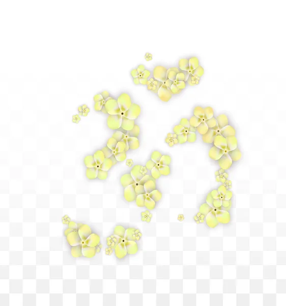 Vektor realistische gelbe Blumen fallen auf transparentem Hintergrund. Frühling romantische Blumen Illustration. Fliegende Blütenblätter. Sakura Wellness Design. Blütenkonfetti. Designelemente für die Hochzeitsdekoration. — Stockvektor