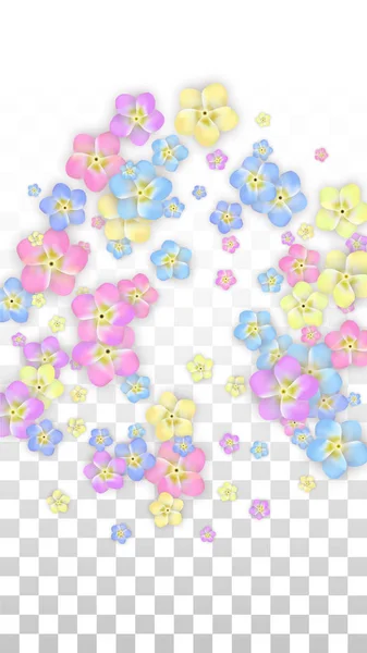 Colorido vetor pétalas realistas caindo em fundo transparente. Primavera flores românticas Ilustração. Pétalas voadoras. Sakura Spa Design. Blossom Confetti. Elementos de design para decoração de casamento . —  Vetores de Stock