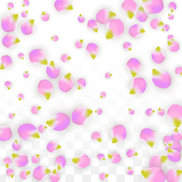 Vector realistische roze bloemblaadjes vallen op transparante achtergrond. Lente romantische bloemen illustratie. Vliegende bloemblaadjes. Sakura Spa Design. Bloesem Confetti. — Stockvector