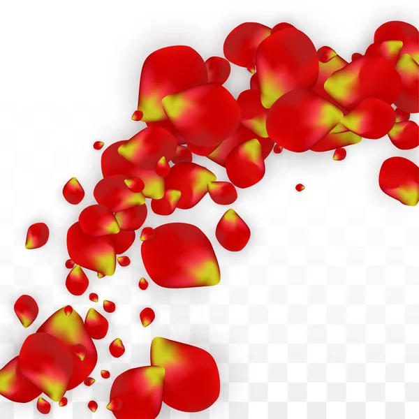 矢量逼真的红玫瑰花瓣落在透明的背景。浪漫的花插图。飞行的花瓣。樱花水疗设计。开花的康彩提。婚礼装饰的设计元素. — 图库矢量图片