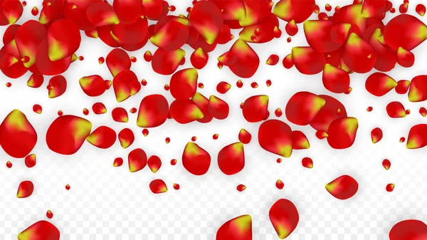 투명 한 배경 위로 떨어지는 실제적 인 붉은 장미 꽃잎 — 스톡 벡터