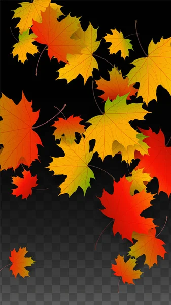Septembre Fond vectoriel avec feuilles tombantes dorées. Automne I — Image vectorielle
