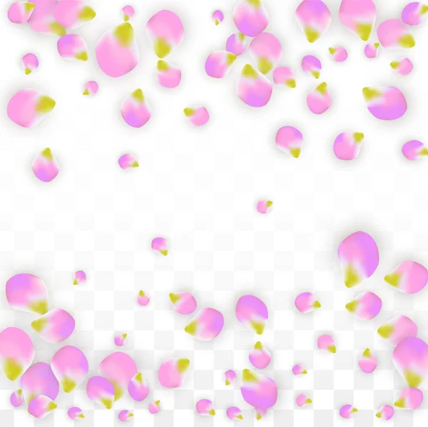 Vector Realistic Pink Petals Falling on Transparent Background.  Spring Romantic Flowers Illustration. Flying Petals. Sakura Spa Design. Blossom Confetti. — Stock Vector