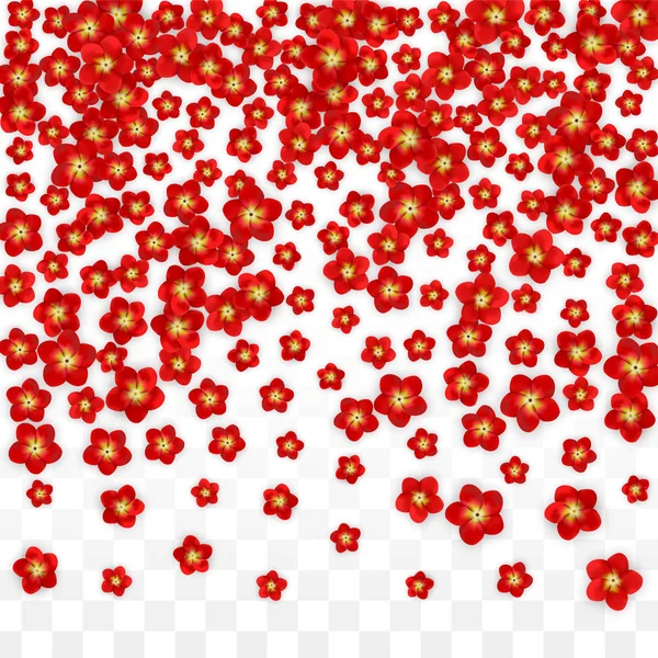 Vektor reális piros virágok alá átlátszó háttér. Tavaszi virágok romantikus illusztráció. Repülő ázsiai Rózsa Spa Design. Blossom konfetti. Esküvői dekoráció design elemek. — Stock Vector
