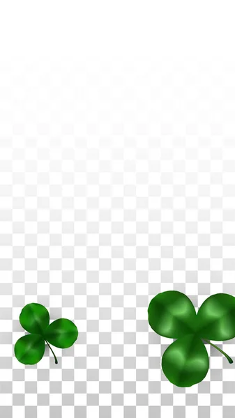 Vector Clover Leaf Isolé sur fond transparent avec espace pour le texte. Illustration de la Saint-Patrick. L'affiche de Lucky Shamrock en Irlande. Invintation for Concert in Pub. Vue du dessus. Symboles de réussite. — Image vectorielle