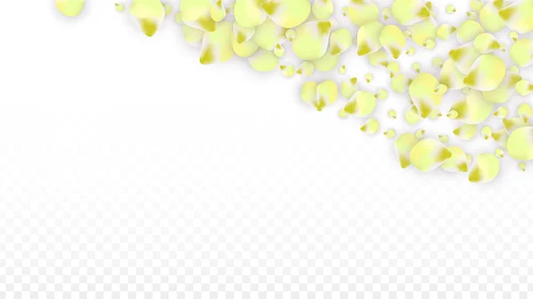 Vector realistische roze bloemblaadjes vallen op transparante achtergrond. Lente romantische bloemen illustratie. Vliegende bloemblaadjes. Sakura Spa Design. Bloesem Confetti. — Stockvector