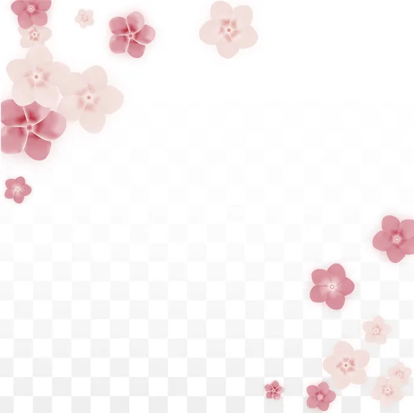 Vetor realista flores cor-de-rosa caindo em fundo transparente. Primavera flores românticas Ilustração. Pétalas voadoras. Sakura Spa Design. Blossom Confetti. Elementos de design para decoração de casamento . —  Vetores de Stock