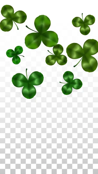 Vector Clover Leaf  Isolated on Transparent Background with Space for Text. St. Patrick's Day Illustration. Ireland's Lucky Shamrock Poster. Invintation for Concert in Pub. Top View. Success Symbols. — Stock Vector
