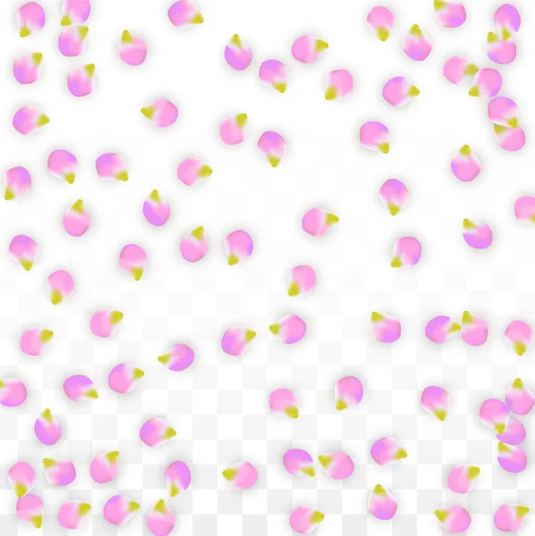 Vektor reális rózsaszín szirmok hullottak átlátszó háttér. Tavaszi virágok romantikus illusztráció. Repülő szirmok. Sakura Spa Design. Blossom konfetti. — Stock Vector