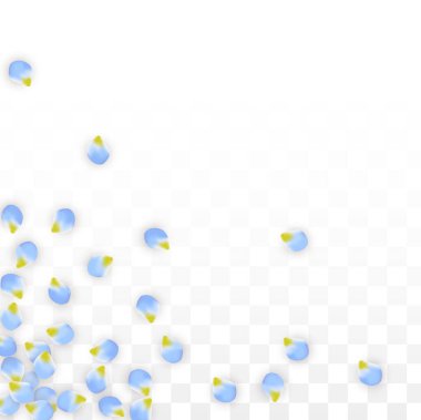 Saydam arka plan üzerine düşen vektör gerçekçi mavi yaprakları. Bahar romantik çiçek illüstrasyon. Uçan yaprakları. Sakura Spa tasarım. Çiçeği konfeti.